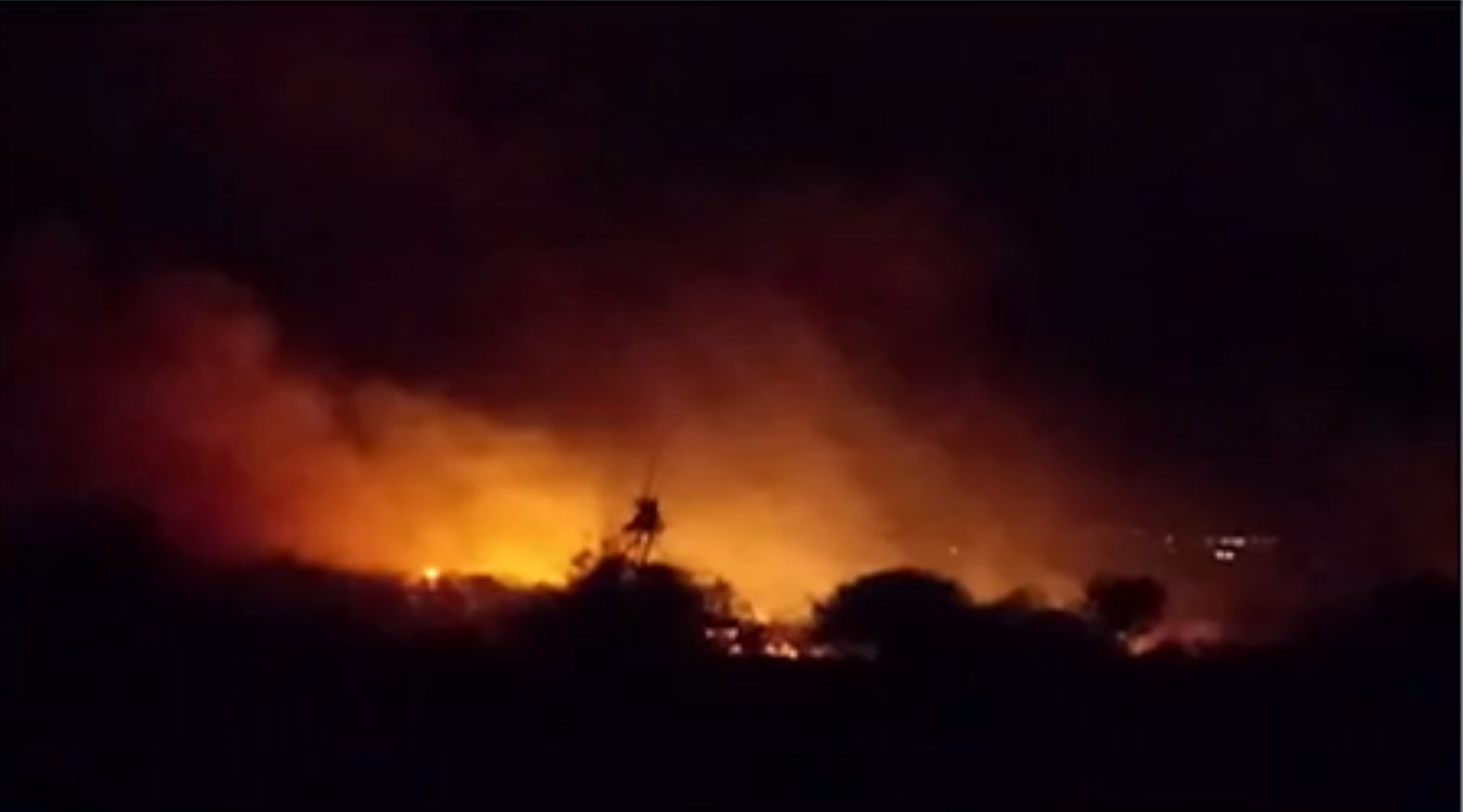 Resultado de imagem para Sertânia registra 11 casos de incêndio na vegetação em menos de 15 dias