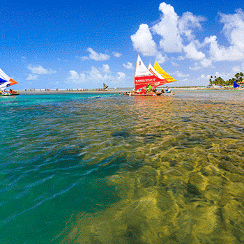GOV PE - BORA PERNAMBUCAR