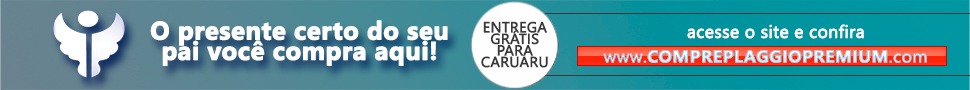 PLAGGIO CAMISARIA